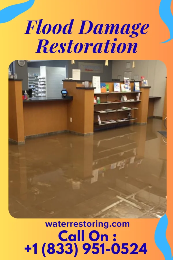 Flood Damage Restoration in Creston, IL